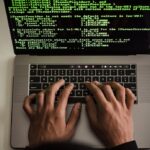 custom website development