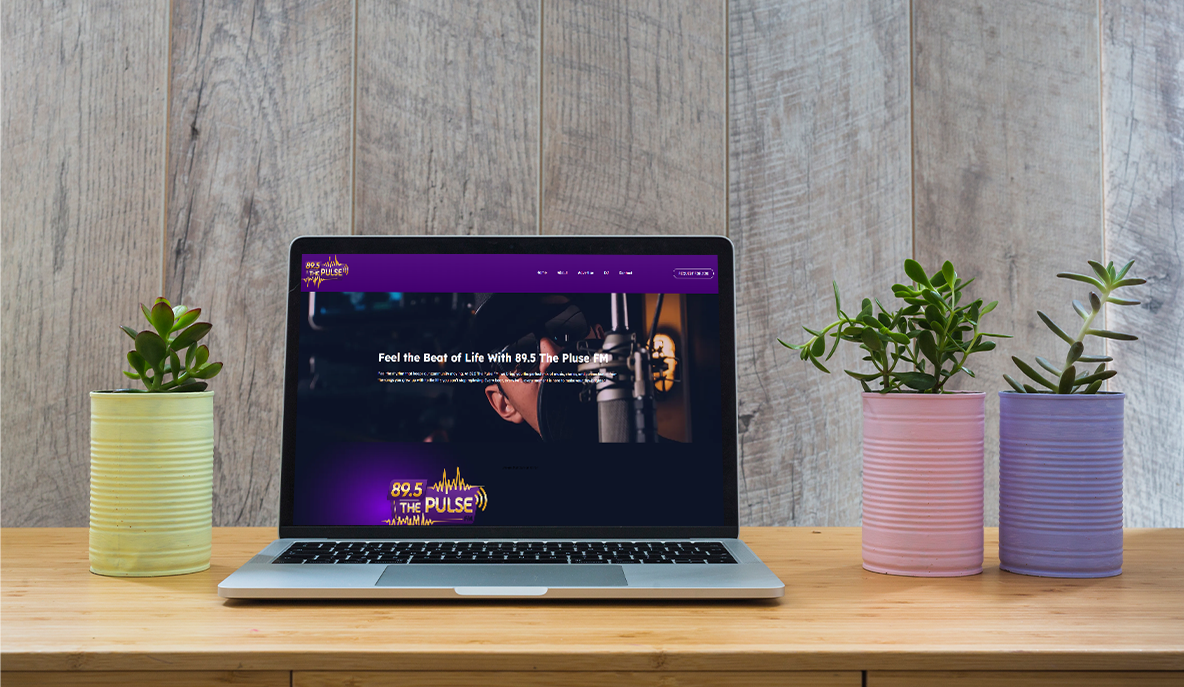 Website For 895thepulse