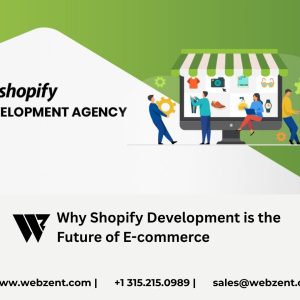 Why Shopify Development is the Future of E-commerce