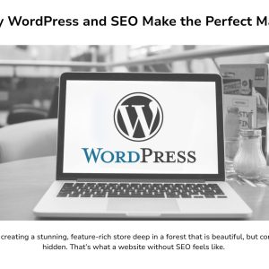 Why WordPress and SEO Make the Perfect Match